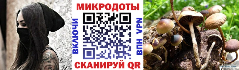 mega ТОР  Зима  Псилоцибиновые грибы Psilocybe 