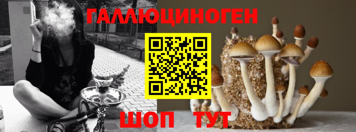 Псилоцибиновые грибы MAGIC MUSHROOMS  Вход с VPN  Зима 